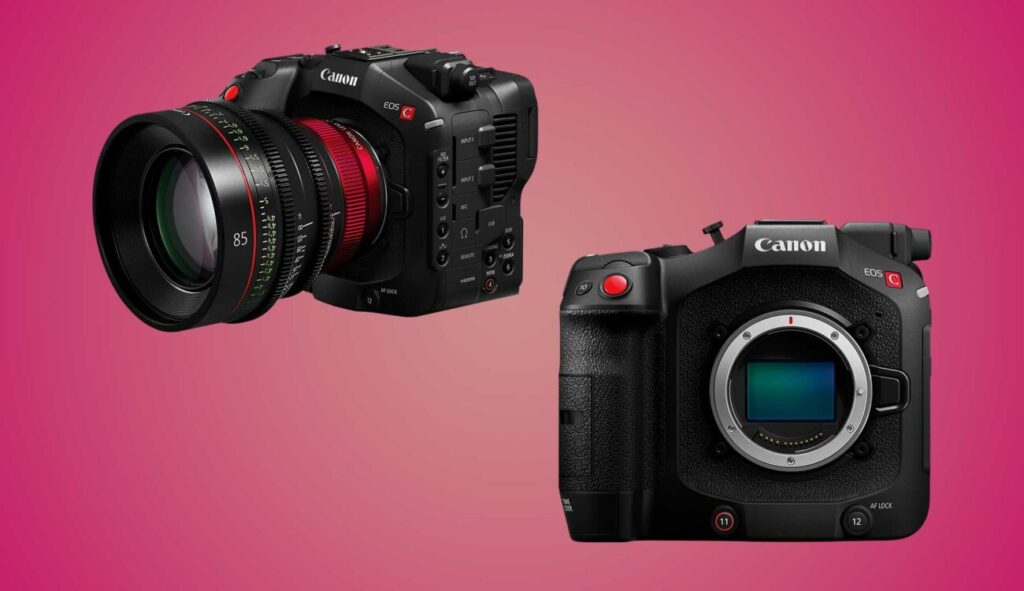 Canon C80