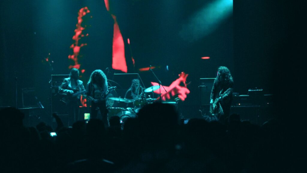 Black Dog
